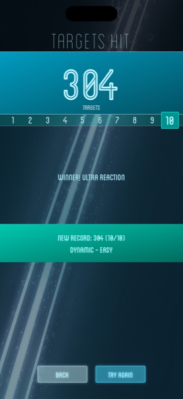 Score screen: 304 targets hit, a 10 out of 10 rating and a new record banner.
